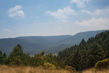 La Marquesa Ulusal Parkı (İspanyolca: 