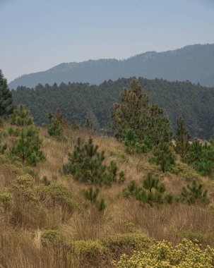 La Marquesa Ulusal Parkı (İspanyolca: 