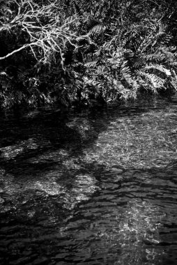 Cenote, yeraltı sularını açığa çıkaran kireçtaşı kayalarının çökmesinden kaynaklanan doğal bir çukur ya da obruktur. Özellikle Meksika 'nın Yucatn Yarımadası ile ilişkili.