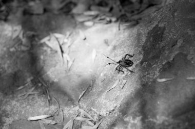 Küçük hata ayrıntılarını kapat