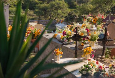 Pea de Bernal, Meksika kasabası