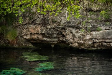 Quintana Roo, Mayan Riviera, Meksika 'daki Crystal Cenote doğal bir yerdir. Burada, şnorkelle yüzmek için ideal 3 açık mağara bulunur.