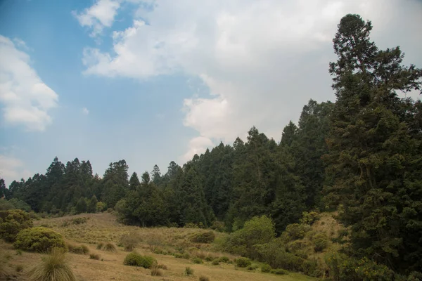 Parque Nacional Insurgente Miguel Hidalgo Costilla Parque Nacional Estado México — Foto de Stock