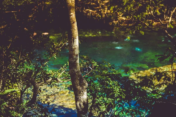 Een Cenote Een Natuurlijke Put Zinkgat Als Gevolg Van Instorting — Stockfoto