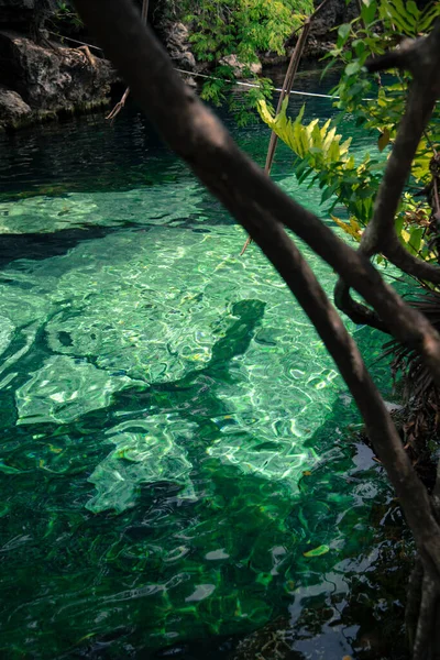 Crystal Cenote Quintana Roo Riwiera Majów Meksyk Jest Naturalnym Obszarem — Zdjęcie stockowe