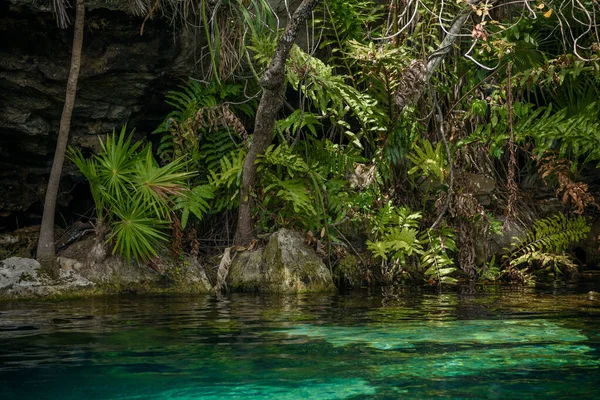 Crystal Cenote Quintana Roo Mayan Riviera Mexiko Přírodní Oblast Kde — Stock fotografie