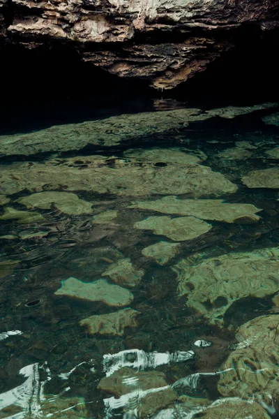 Crystal Cenote Quintana Roo Maya Riviera Mexiko Ett Naturområde Där — Stockfoto