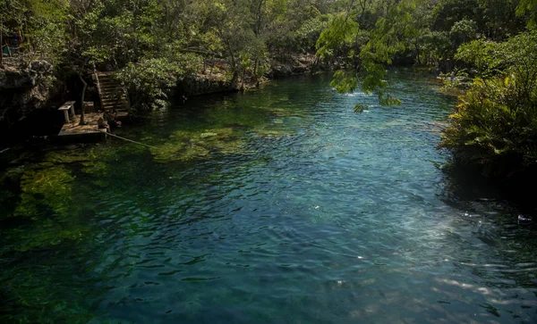 Crystal Cenote Quintana Roo Riwiera Majów Meksyk Jest Naturalnym Obszarem — Zdjęcie stockowe