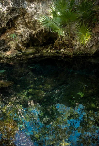 Crystal Cenote Quintana Roo Riwiera Majów Meksyk Jest Naturalnym Obszarem — Zdjęcie stockowe