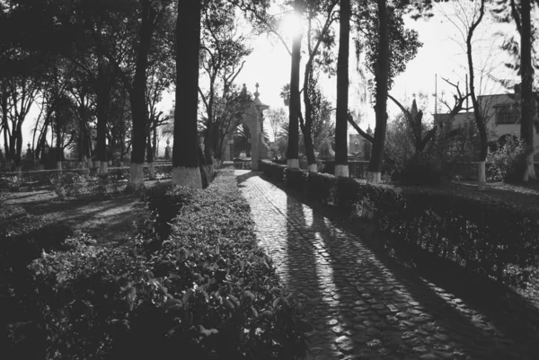 Popular Tourist Destination Mexico City Famous Tepozteco Temple Ruins Top — Stock Photo, Image