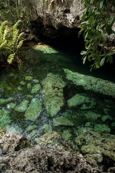 Crystal Cenote Quintana Roo Mayan Riviéra Mexikó Egy Természetes Terület — Stock Fotó