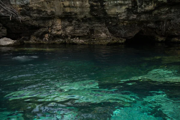 Crystal Cenote Quintana Roo Mayan Riviéra Mexikó Egy Természetes Terület — Stock Fotó