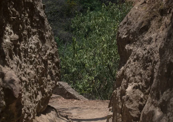 Natural View Vegetation Rocks Tepoztlan Mexico — Stock fotografie