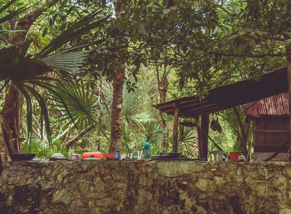 背景にメキシコの中心部の植生 — ストック写真