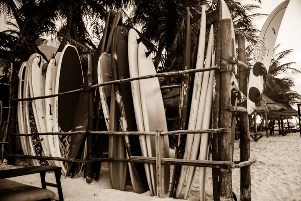Isla Mujeres, Quintana Roo, Meksika Yaz Tatili ve Su Sporları Konsepti