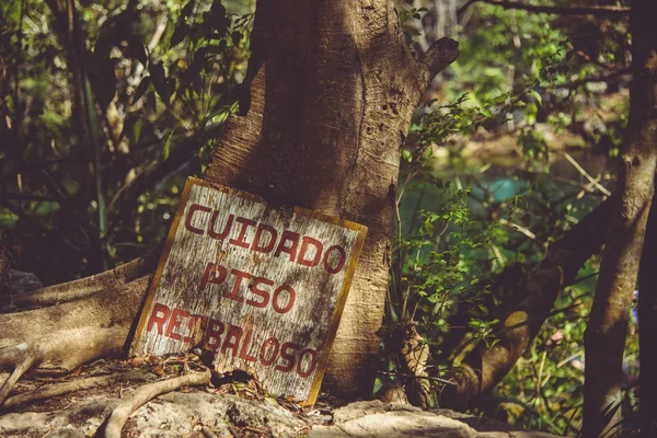 Riviera Maya Mexico Apr 2017 Cenote Jardin Del Eden Een — Stockfoto
