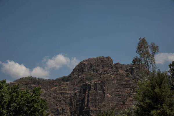 Natural View Vegetation Tepoztlan Mexico — 스톡 사진