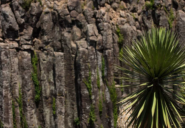 Huasca Ocampo Hidalgo Mexico Jun 2018 Basaltic Prisms Santa Mara — Stock Photo, Image