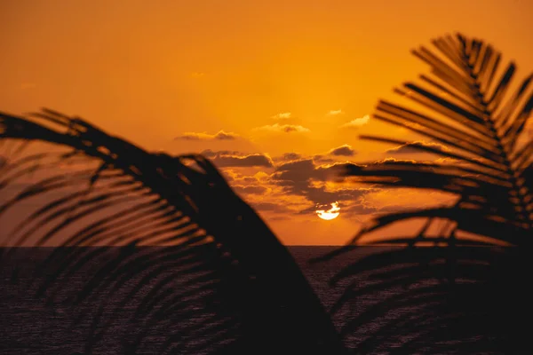 Hermosa Escena Natural Puesta Del Sol México — Foto de Stock