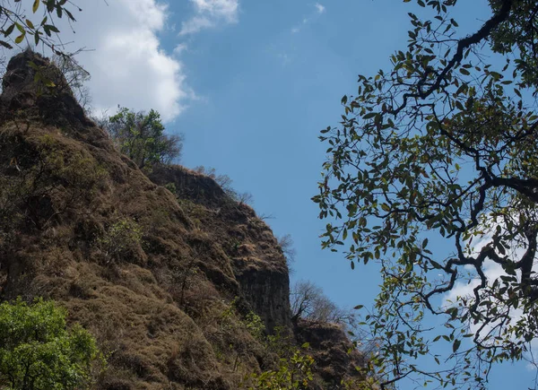 Vegetación Natural Rocas Tepoztlan México —  Fotos de Stock