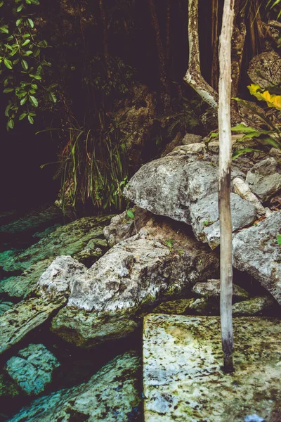 Cenote Yeraltı Sularını Açığa Çıkaran Kireçtaşı Kayalarının Çökmesinden Kaynaklanan Doğal — Stok fotoğraf