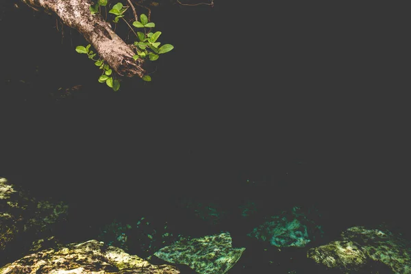 Cenote Poço Natural Sumidouro Resultante Colapso Rocha Calcária Que Expõe — Fotografia de Stock