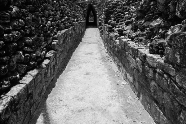Maya Ruins Entrance Hall Becan — 스톡 사진