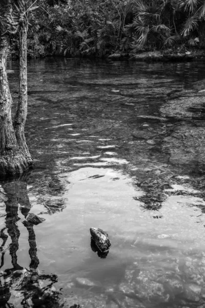 Cenote Ist Eine Natürliche Grube Oder Doline Die Aus Dem — Stockfoto