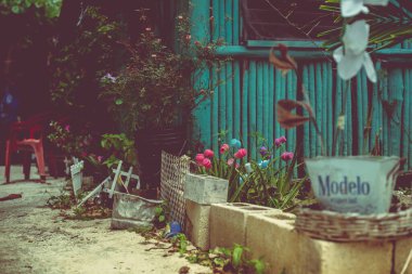 Puerto Morelos, Riviera Maya, Meksika Bu orijinal kıyı balıkçı köyü şimdi sakin, karışık kullanım alanları olan özel evler, birkaç otel, güzel bitki örtüsü, barlar, apartmanlar, restoranlar ve güzel Karayip turkuvaz plajı.