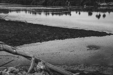 Bir Estuary 'nin zemin ve su üçgeninin soyut siyah beyaz fotoğrafı.