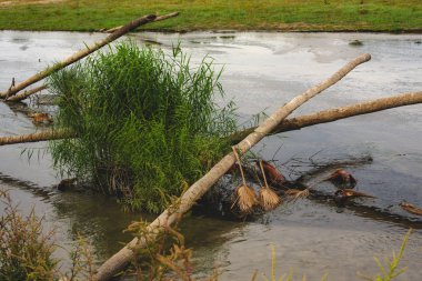 Nehrin içinde bir sandık