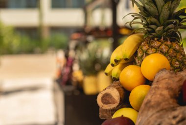 Meksika 'da güneşli bir günde tropik meyveler, ananas 