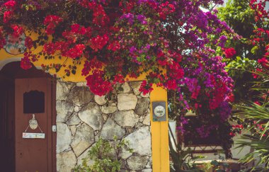 Puerto Morelos, Riviera Maya, Meksika Bu orijinal kıyı balıkçı köyü şimdi sakin, karışık kullanım alanları olan özel evler, birkaç otel, güzel bitki örtüsü, barlar, apartmanlar, restoranlar ve güzel Karayip turkuvaz plajı.