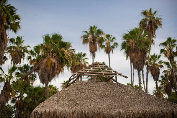 Klassisk Mexikansk Torr Palm Palapa Hut — Stockfoto