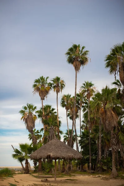 Vacker Natur Utsikt Över Mynningen Los Cabos Mexiko — Stockfoto