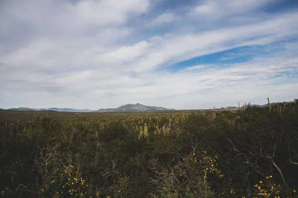 Nice Scene Vista Desde Carretera Los Cabos México — Foto de Stock