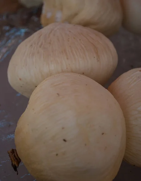 Kokosäpfel Entstehen Wenn Eine Kokosnuss Vom Strauch Fällt Und Nach — Stockfoto