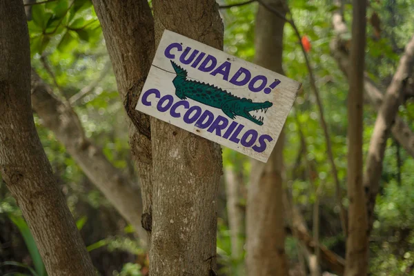 Dikkat Timsah Bölgesi Işareti Resimli Puerto Morelos Meksika — Stok fotoğraf