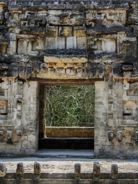 Underworld Portal Ruins Ancient Mayan City Chicanna Mexico Mouth Serpent — Stock Photo, Image