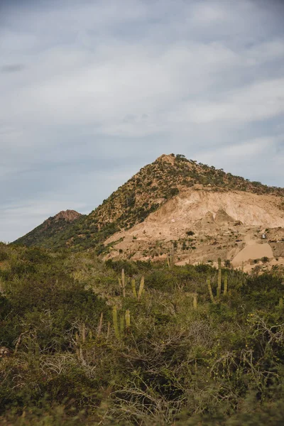 Los Cabos Mexiko Dálnice Krásný Výhled Kaktus Krajina — Stock fotografie