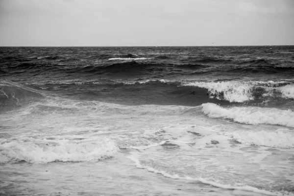 Widok Ocean Karaibski Puerto Morelos Riwiera Maya Meksyk — Zdjęcie stockowe