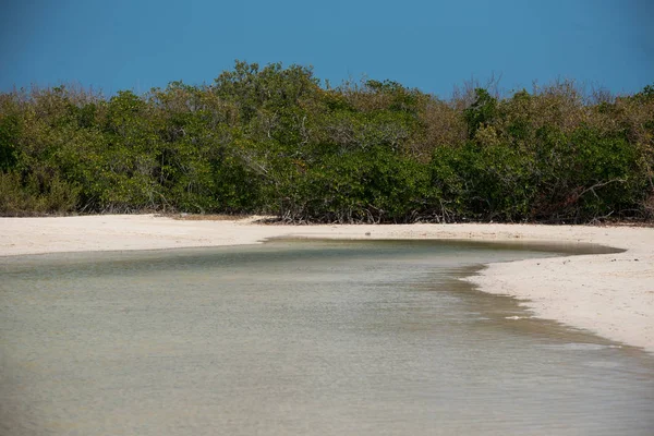 Isla Blanca Ubicada Quintana Roo México Muy Cerca Cancún Impresionante — Foto de Stock