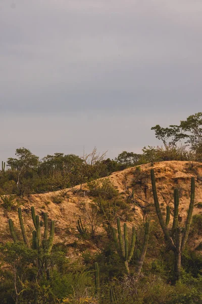 Mooi Uitzicht Vanaf Snelweg Los Cabos Mexico — Stockfoto