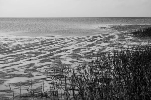 Isla Blanca Található Quintana Roo Mexikó Nagyon Közel Cancún Lélegzetelállító — Stock Fotó