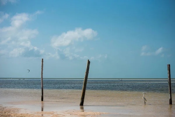 Isla Blanca Ubicada Quintana Roo México Muy Cerca Cancún Impresionante —  Fotos de Stock