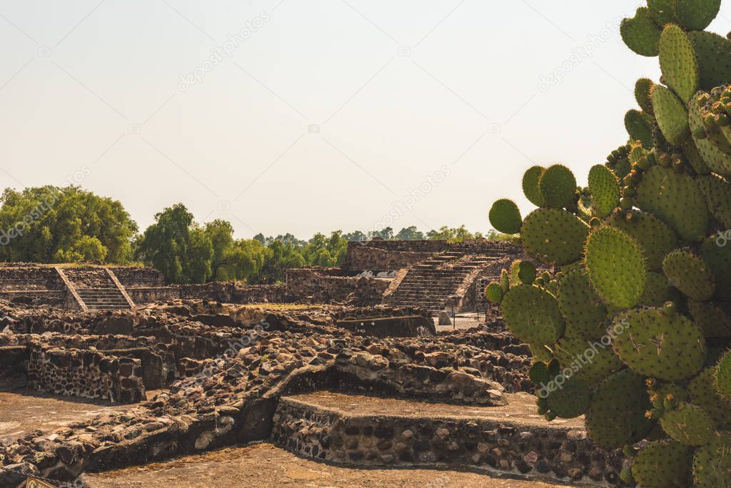 Teotihuacan Mexican Ruins / Pyramids