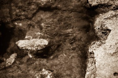 Bir lagünün su / kayalarının yakınındaki sepya.