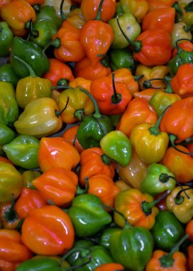 Habanero 'nun sıcaklığı, tadı ve çiçekli aroması onu sıcak soslar ve diğer baharatlı gıdaların popüler bir malzemesi yapar.