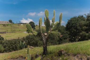 Tepotzotlan, Meksika, 