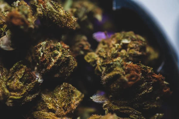 Macro Close Ervas Daninhas Botões Cannabis Moedor Pronto Para Ser — Fotografia de Stock